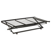Orleans Furniture - Coaster - Eden Metal Twin Pop Up Trundle Bed Black - 1137
