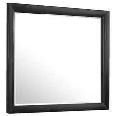 Orleans Furniture - Coaster - Briana Dresser Mirror Black - 200704