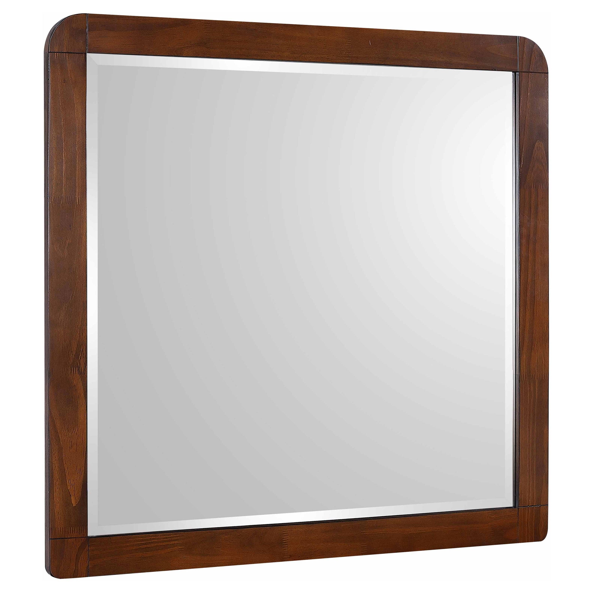 Orleans Furniture - Coaster - Robyn Dresser Mirror Dark Walnut - 205134
