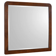 Orleans Furniture - Coaster - Robyn Dresser Mirror Dark Walnut - 205134