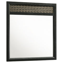 Orleans Furniture - Coaster - Valencia Dresser Mirror Black - 223044