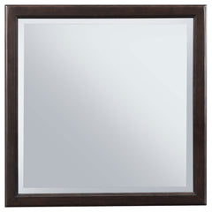 Emberlyn Dresser Mirror Brown