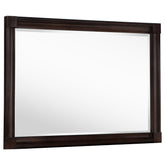 Orleans Furniture - Coaster - Andover Dresser Mirror Dark Oak - 223634