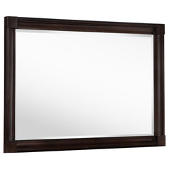 Orleans Furniture - Coaster - Andover Dresser Mirror Dark Oak - 223634