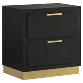 Orleans Furniture - Coaster - Caraway 2-drawer Nightstand Black - 224782