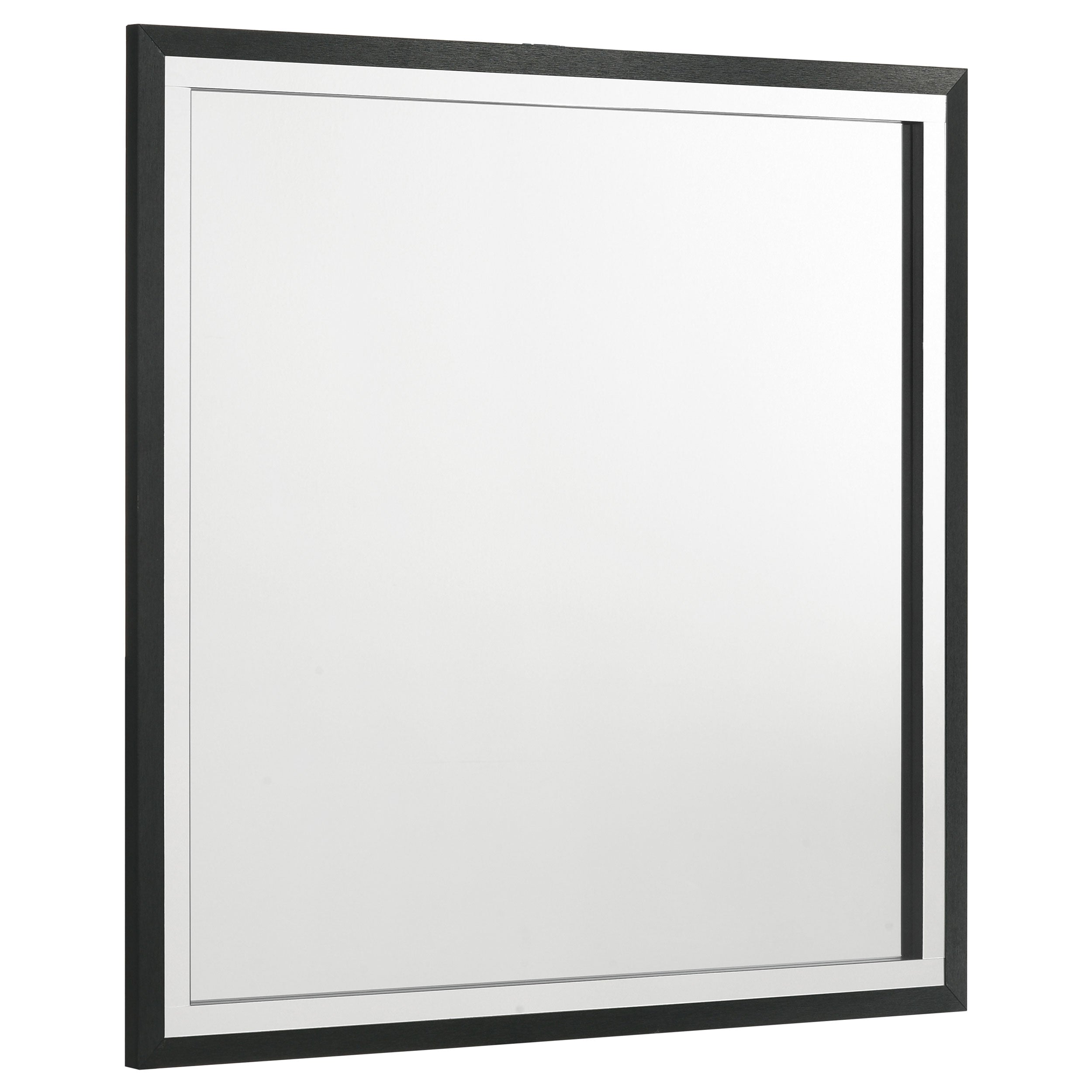 Orleans Furniture - Coaster - Lucia Dresser Mirror Black - 224994