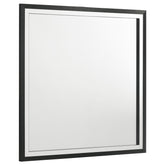 Orleans Furniture - Coaster - Lucia Dresser Mirror Black - 224994