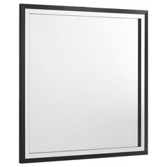 Orleans Furniture - Coaster - Lucia Dresser Mirror Black - 224994