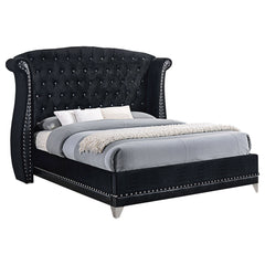 Orleans Furniture - Coaster - Barzini Upholstered Eastern King Wingback Bed Black - 300643KE