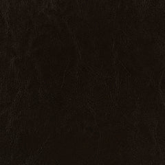 Dorian Faux Leather Upholstered Full Panel Bed Brown