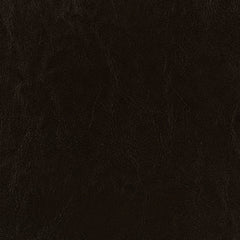 Dorian Faux Leather Upholstered Twin Panel Bed Brown