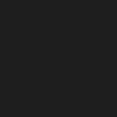 Fisher Twin Workstation Loft Bed Gunmetal