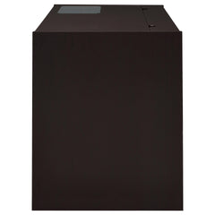 Halston 47-inch 2-drawer Office Desk with Cabinet Cappuccino