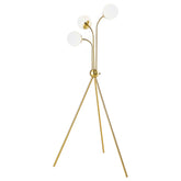 Orleans Furniture - Coaster - Miley 66-inch Spherical Bulb Tripod Tree Floor Lamp Gold - 920293
