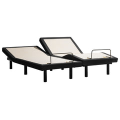 Sealy Ease® Power Base