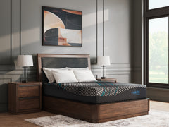 Orleans Furniture - Ashley Furniture - Millennium 2.0 Foam 12 Inch Mattresses - Queen / Black - M31131