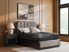 Orleans Furniture - Ashley Furniture - Millennium 2.0 Hybrid 14 Inch Mattresses - Twin XL / Black - M31471