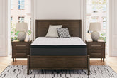 Orleans Furniture - Ashley Furniture - Limited Edition PT Mattresses - California King / White - M41251