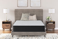 Orleans Furniture - Ashley Furniture - Palisades Plush Mattresses - California King / Gray/Blue - M41651