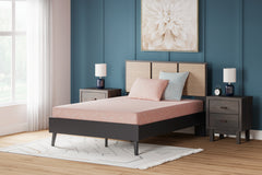 Orleans Furniture - Ashley Furniture - iKidz Coral Mattresses - Full and Pillow 2/CN / Coral - M43121