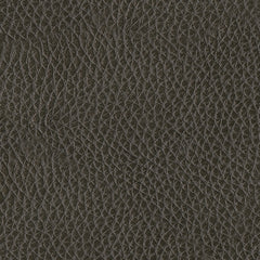 Center Line Sectional