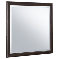 Orleans Furniture - Coaster - Emberlyn Dresser Mirror Brown - 223064