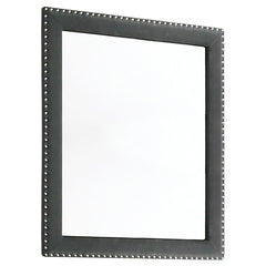 Orleans Furniture - Coaster - Melody Upholstered Dresser Mirror Grey - 223384