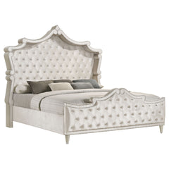 Orleans Furniture - Coaster - Antonella Upholstered Eastern King Panel Bed Ivory and Camel - 223521KE