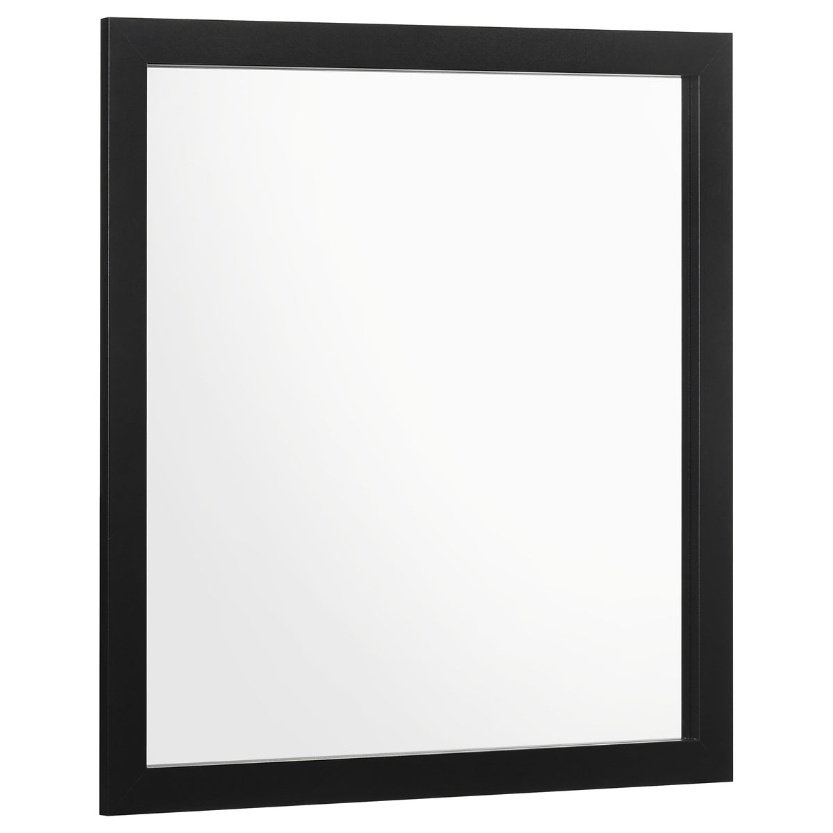 Orleans Furniture - Coaster - Kendall Dresser Mirror Black - 224454