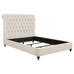 Orleans Furniture - Coaster - Devon 57-inch Upholstered Queen Panel Bed Beige - 300525Q
