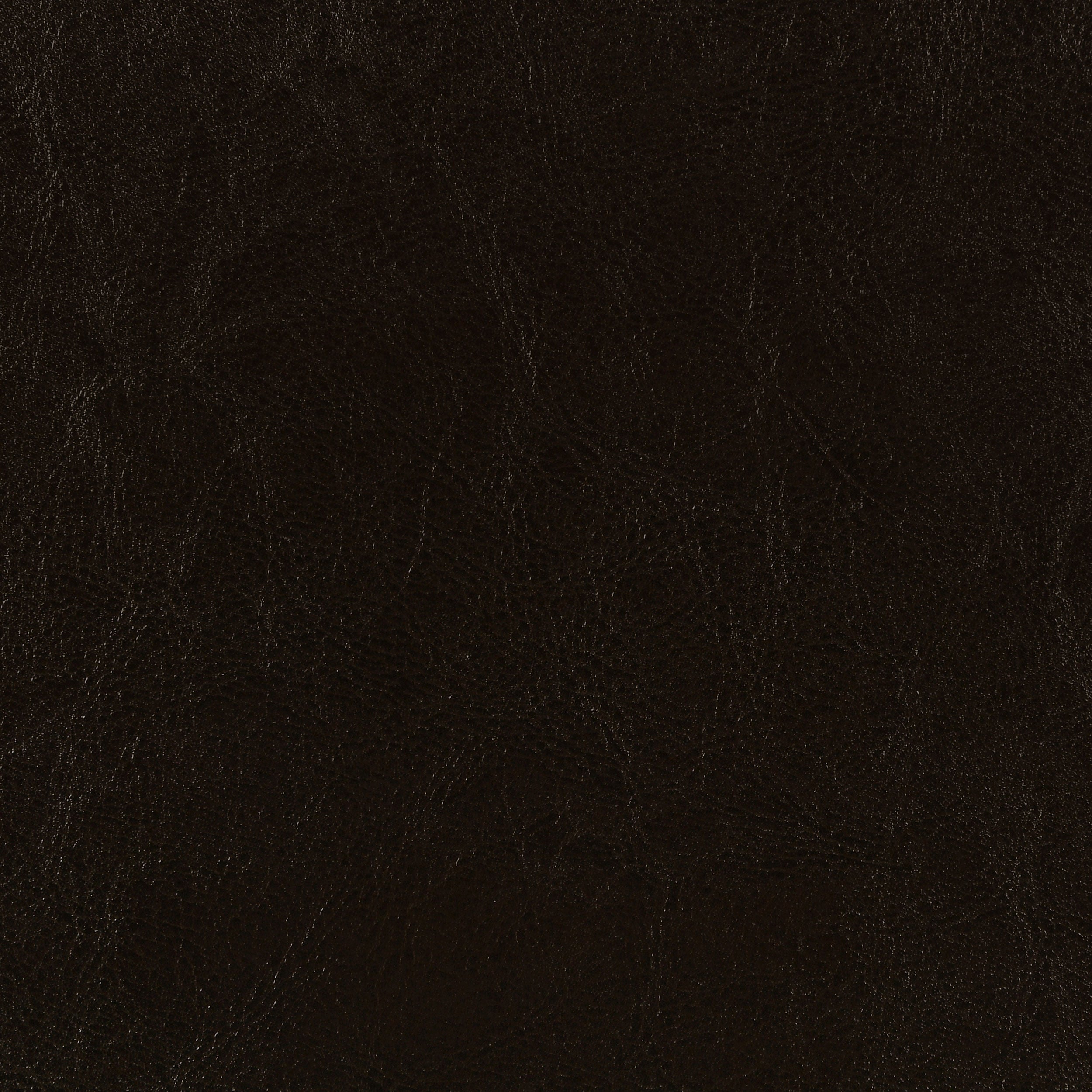 Dorian Faux Leather Upholstered Twin Panel Bed Brown