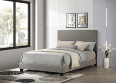 Orleans Furniture - Coaster - Dorian Fabric Upholstered Full Panel Bed Taupe - 300851F