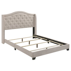 Orleans Furniture - Coaster - Sonoma Upholstered Full Wingback Bed Beige - 310073F
