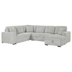 Orleans Furniture - Coaster - Devonshire Sleeper Sectional Sofa Storage Chaise Grey - 501208