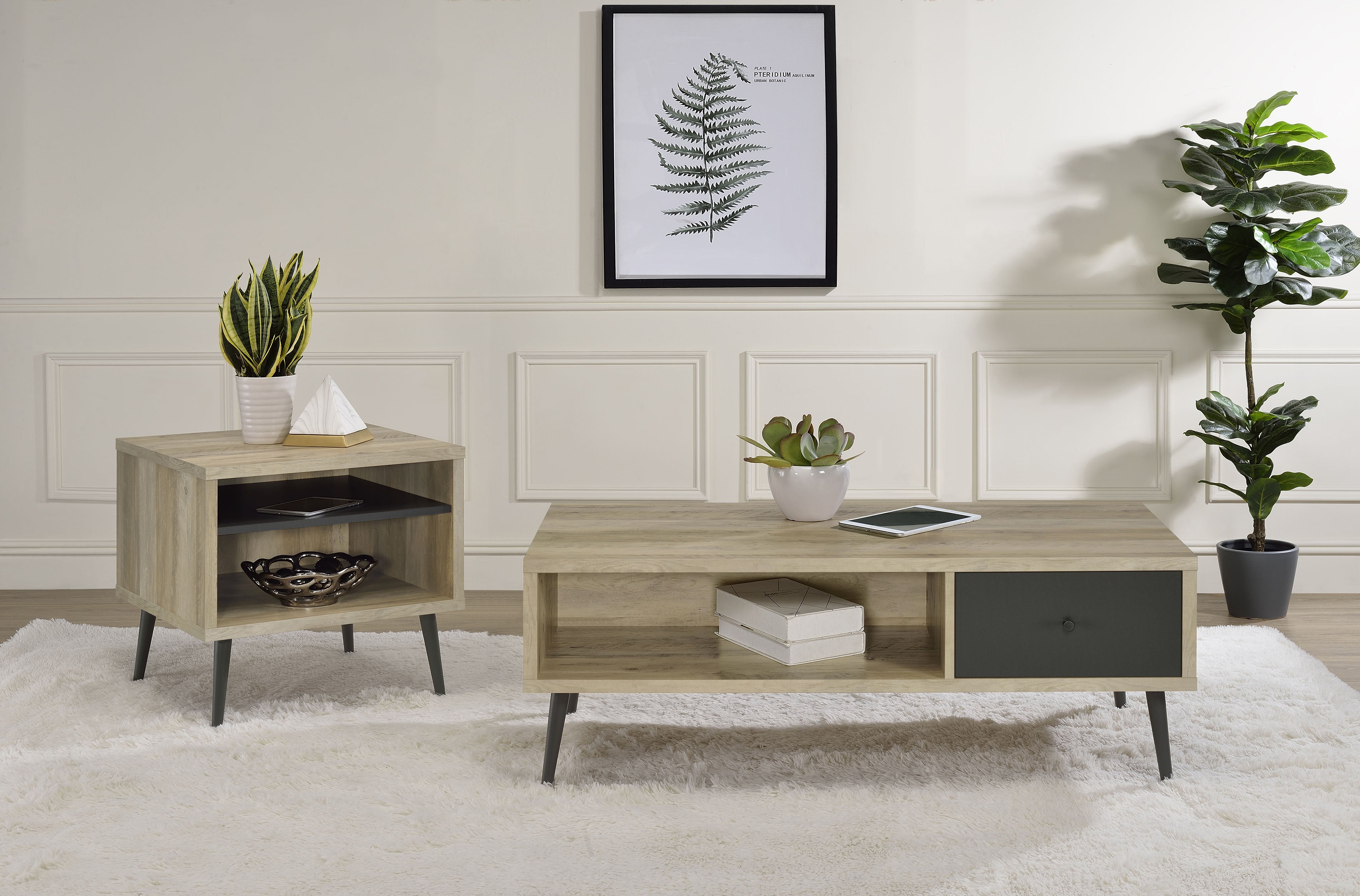 Orleans Furniture - Coaster - Welsh 2-piece Coffee and End Table Set Distressed Pine - 701038-S2