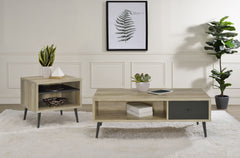 Orleans Furniture - Coaster - Welsh 2-piece Coffee and End Table Set Distressed Pine - 701038-S2