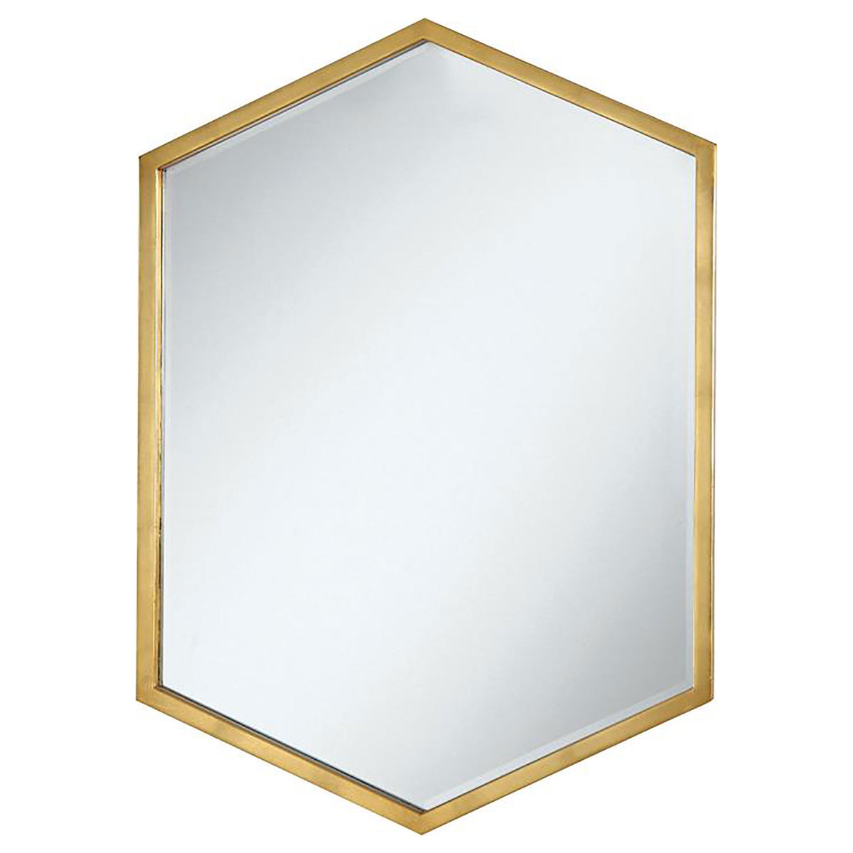 Orleans Furniture - Coaster - Bledel 24 x 34 Inch Hexagonal Wall Mirror Gold - 902356