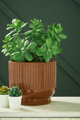 Orleans Furniture - Ashley Furniture - Avalyah Vase - Vase (2/CS) / Burnt Umber - A2900021