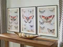 Orleans Furniture - Ashley Furniture - Jossletts Wall Decor - Wall Art Set (3/CN) / Orange/Black/Ivory - A8000490