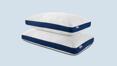 2022 S&F Down Blend & Latex Pillow - King